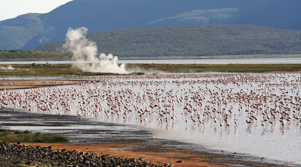 LAKE BOGORIA NATIONAL RESERVE