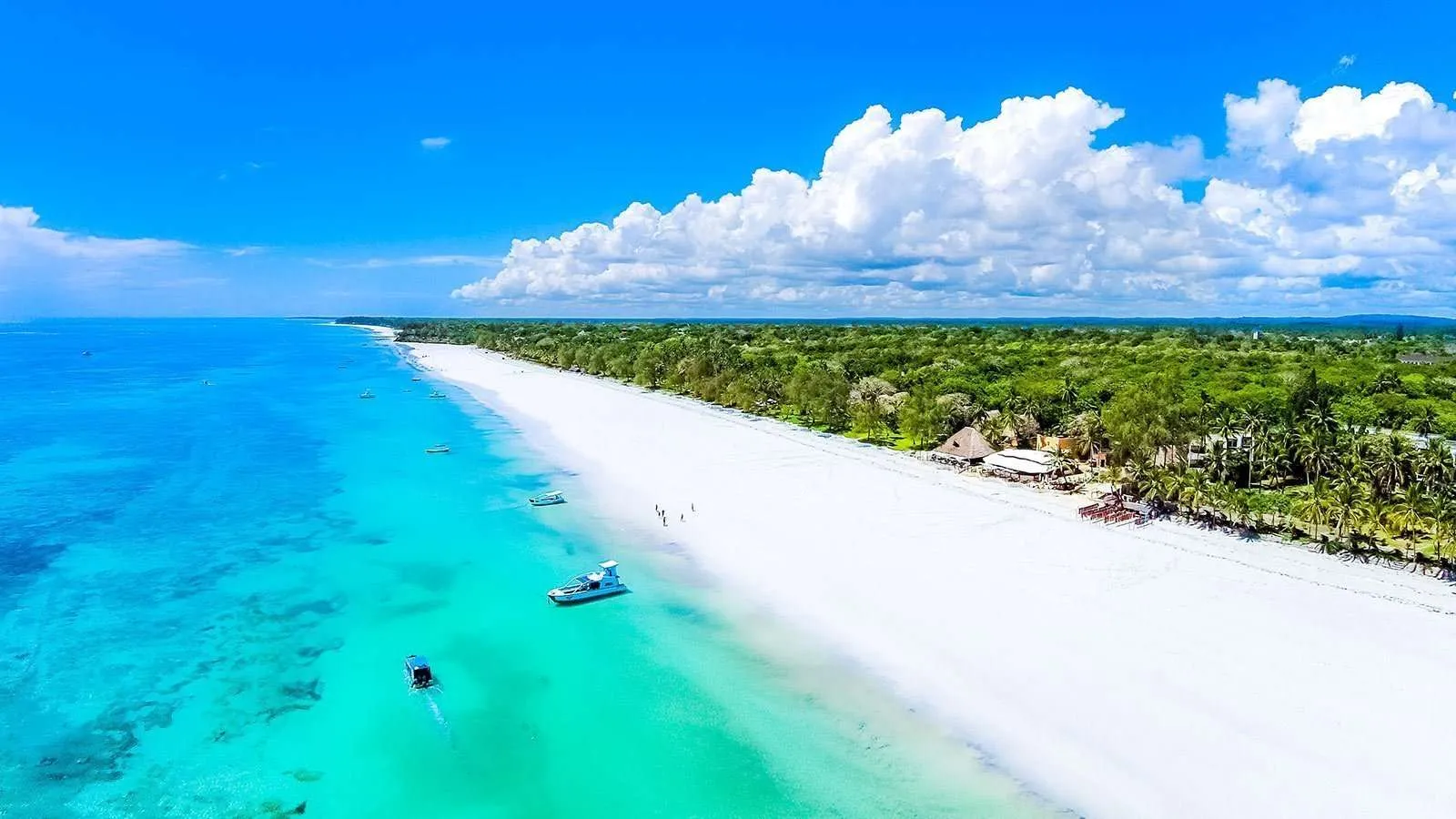 Diani