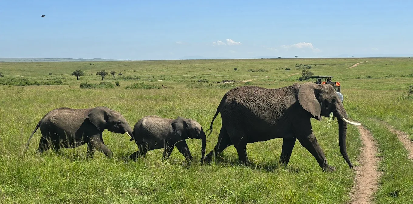 Masai Mara National Reserve